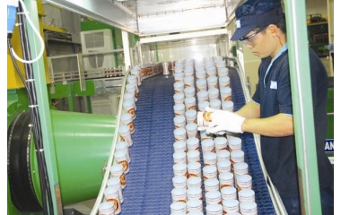 Ngành kế toán: từ cam kết WTO đến luật nội